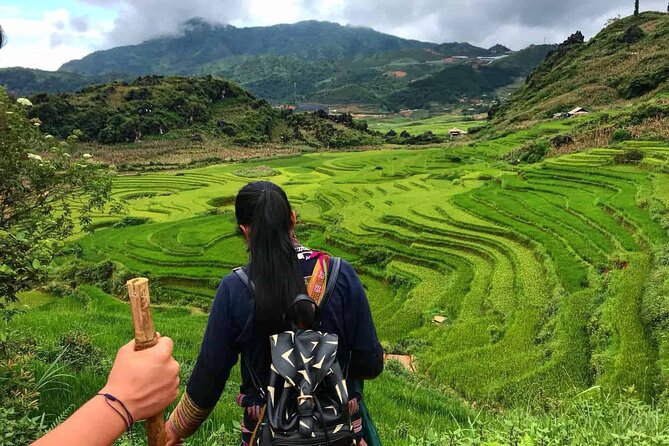 Sapa 1 Day Trekking Tours - Hotel Pickup, Office Start, and the Return Ride That Keeps You from Dragging