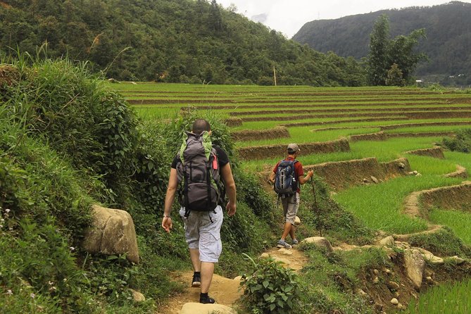 Sapa : 2-Day Trek & Heartwarming Homestay with an Ethnic Family - Day 1 in Muong Hoa: rice terraces, village life, and cooking with a family