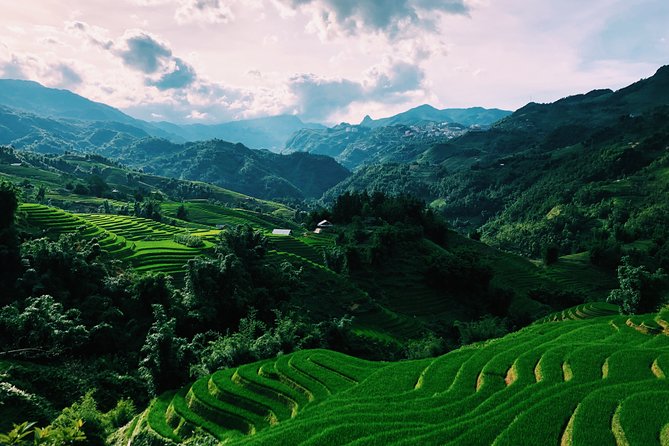 Sapa 2-Day Trek & Homestay in Ta Van Village – Be a Local - Walking From Sapa Town Into Rice-Terrace Villages (Y Linh Ho and Lao Chai)