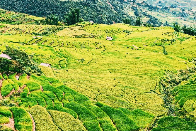 Sapa 2-Day Trek & Homestay in Ta Van Village – Be a Local - Day Two Trek Through Giang Ta Chai, Bamboo Forest, and Su Pan