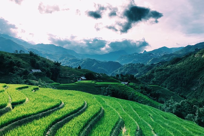 Sapa 2-Day Trek & Homestay in Ta Van Village – Be a Local - How to Have a Smoother Trek (and Handle Seller Pushback Gracefully)