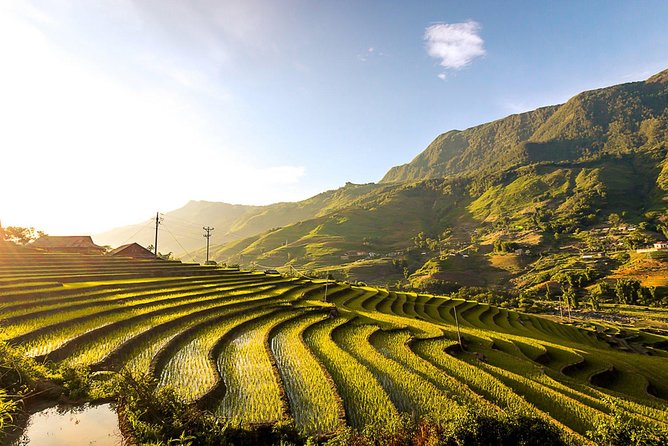 Sapa 2 Days 1 Night from Hanoi - Hotel Stay - Day 2: Tea fields, cardamom gardens, and Ma Tra’s mountain view picnic
