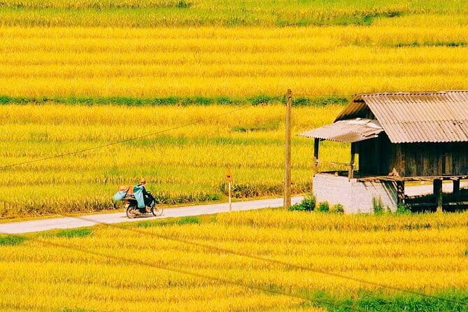 Sapa 2 Days 1 Night Overnight at Homestay Ta Van Village - Homestay Ta Van Village (Stilt-House Style): What to Expect at Night