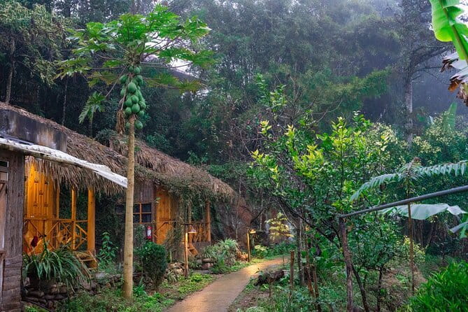 Sapa 2 Days 1 Night Overnight at Homestay Ta Van Village - Guides, Small Groups, and Communication That Actually Helps