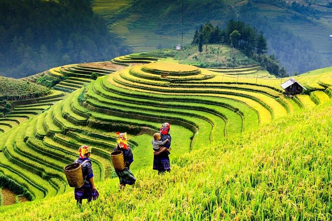 Sapa 2 days 1 night trekking Lao Chai Ta Van - Fansipan mountain by cable car - Y Linh Ho roadside stop: terraces and mountains before the trekking