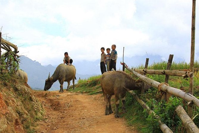 Sapa 2 days 1 night trekking Lao Chai Ta Van - Fansipan mountain by cable car - Lao Chai: old village vibes, Muong Hoa valley views, and ethnic-minority life