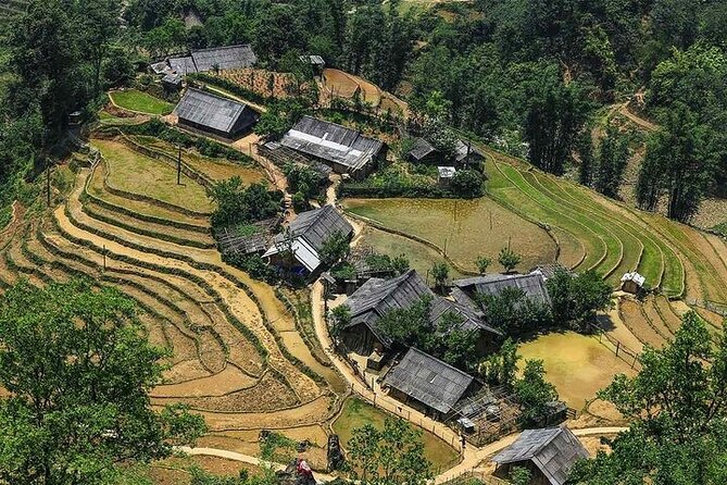 Sapa 2 Days 1 Night with Host Family (Free Motorbike) - Hanoi pickup to Sapa arrival: getting into the mountains without wasting a day