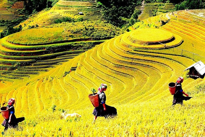Sapa 2 Days Trek with 1 Night Homestay - Key things you should know before you go