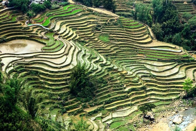 Sapa 2 Days Trek with 1 Night Homestay - Weather and comfort: what to pack for Sapa’s cold, foggy reality