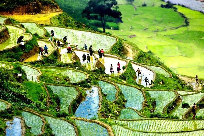 Sapa 2D1N All Included (Bus & Homestay) - Day 1 Muong Hoa Valley trek: Lao Chai and Ta Van village life
