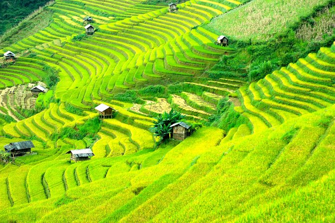 Sapa 2D1N Trekking to Giang Ta Chai Village from Hanoi by Bus - Day 2: Giang Ta Chai Village Trek With a Bamboo Forest Photo Stop