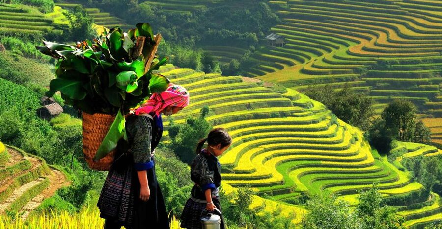 Sapa: 3-Day, 3-Night Trek and Hotel with Overnight Train - Key reasons this trek works