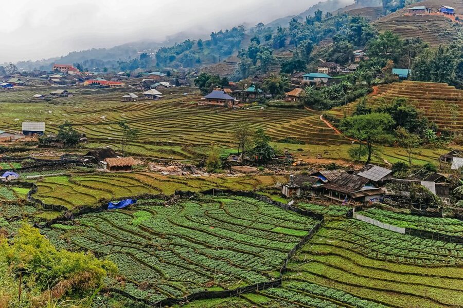Sapa: 3-Day, 3-Night Trek and Hotel with Overnight Train - Sapa Day 1: Sin Chai walk and a Sapa night