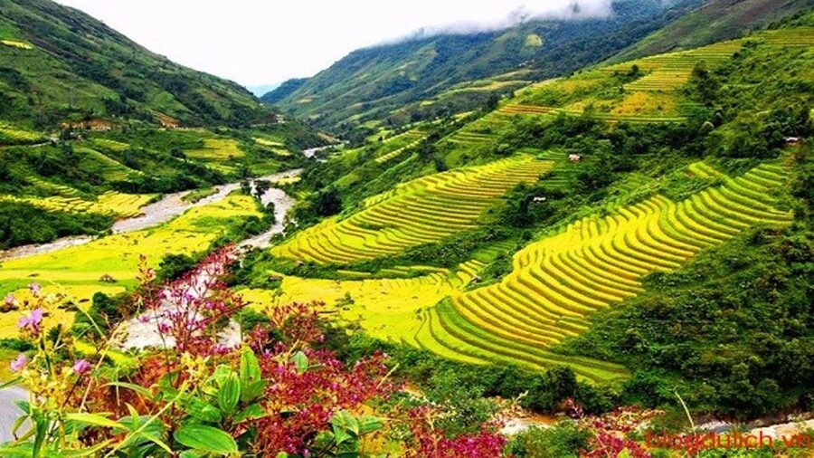 Sapa: 3-Day, 3-Night Trek and Hotel with Overnight Train - Day 2: Muong Hoa Valley trek to Y Linh Ho, Lao Chai, and Ta Van