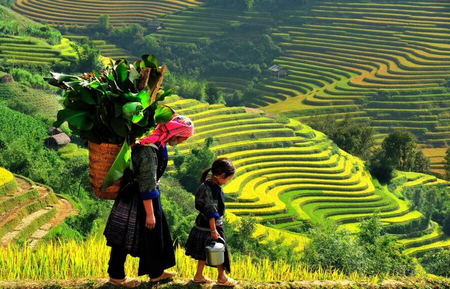 Sapa: 3-Day, 3-Night Trek and Hotel with Overnight Train - Overnight train from Hanoi to Lao Cai: efficient, not fancy