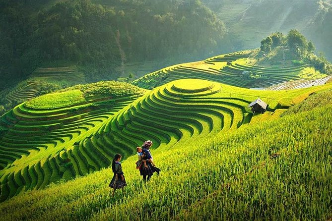 Sapa 3 Days 2 Nights Bac Ha Market From Ha Noi - The Day 2 trek: Ta Van, Lao Chai, and a real taste of mountain walking