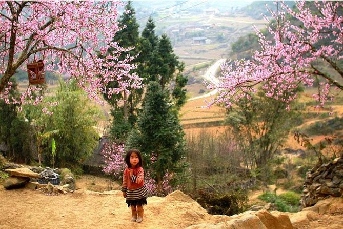 Sapa 3 Days 2 Nights Bac Ha Market From Ha Noi - Sapa town time: use it for simple wins, not big plans