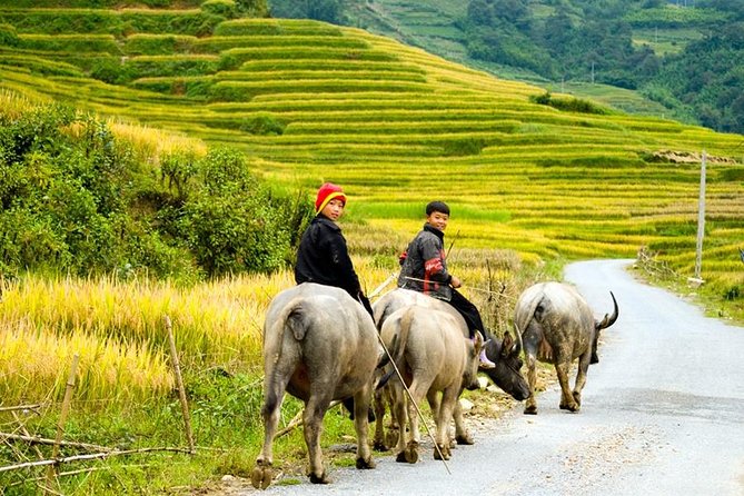 Sapa 3 Days 2 Nights Trekking Tour From Hanoi (2 Nights in Hotel) - Fansipan time on Day 3: optional and self-paced