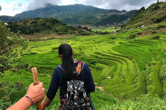 Sapa 3 Days Trek with 2 Nights Homestay - Price and logistics: what $196.16 gets you (and what costs extra)