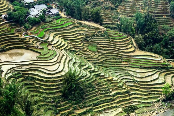Sapa 3 Days Trek with 2 Nights Homestay - Who should book this Sapa homestay trek?