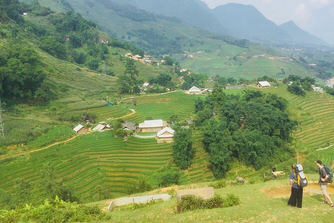Sapa 3 Days Trekking Tour (1 Night in Bungalow, 1 Night In Hotel) - Day 3: Cooking Class in Giang Ta Chai, Rice Paddies, and the Return to Hanoi