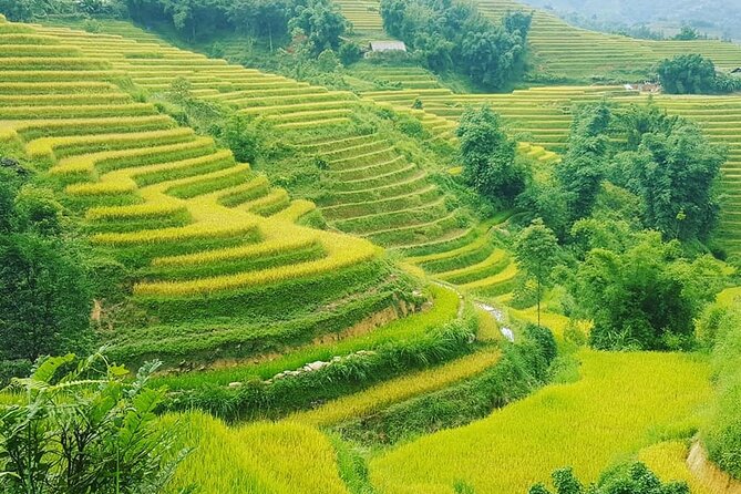Sapa 3 Days Trekking Tour (1 Night in Bungalow, 1 Night In Hotel) - How Hard Is It, Really? Trekking Distance and Energy Budget