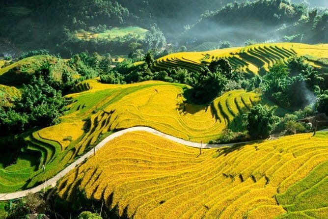 Sapa Adventure Motorbike Tour With Local Guide - Lunch on the route: local food with meat and vegetarian options