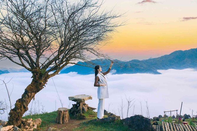 Sapa Alpine Coaster and Sightseeing Experience - Best View Sapa at 10:30: the panorama stop with a complimentary drink