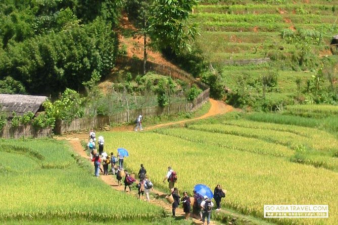 Sapa - Bac Ha Trek Tour - Night Train & Bus & Homestay overnight - Getting from Hanoi to Sapa without fuss (night train + early transfer)