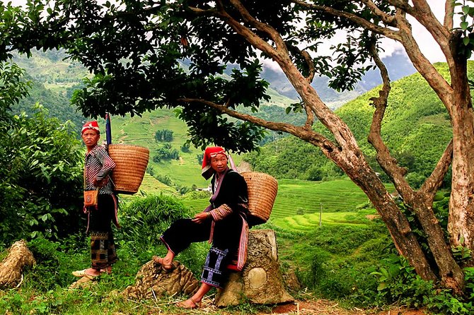 Sapa Easy Trekking Tour 1 Day - Rice Paddies and Cultures - Price and logistics: what $40 buys you in Sapa