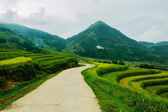 Sapa Easy Trekking Tour 1 Day - Rice Paddies and Cultures - Rice paddy views and animal encounters you can actually talk about