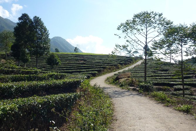 Sapa Full Day Motorbike Tour - Heaven Gate Pass (Trạm Tôn Pass): Photos, Views, and the Road Below