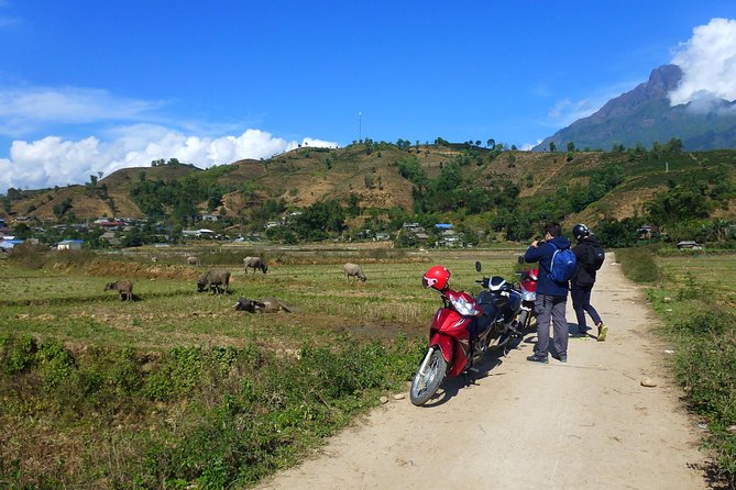 Sapa Full Day Motorbike Tour - Price and Logistics: Is $108.98 Good Value?