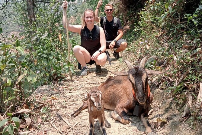 Sapa Half Day Local Farming Experience - Farming tasks in the gardens: pick, harvest, water, and help with animals