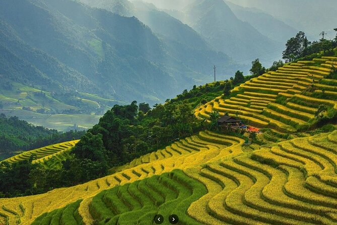 Sapa Half Day Private Car or Motorbike Customized Scenic Tour - Muong Hoa Valley rice terraces: your first hour of open views