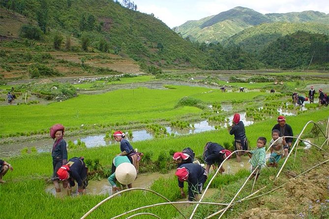 Sapa Hard Trekking villages 2D/1N: Homestay, Meals, English speaking guide - Logistics you should actually care about: pickup timing, transfer points, and group pace