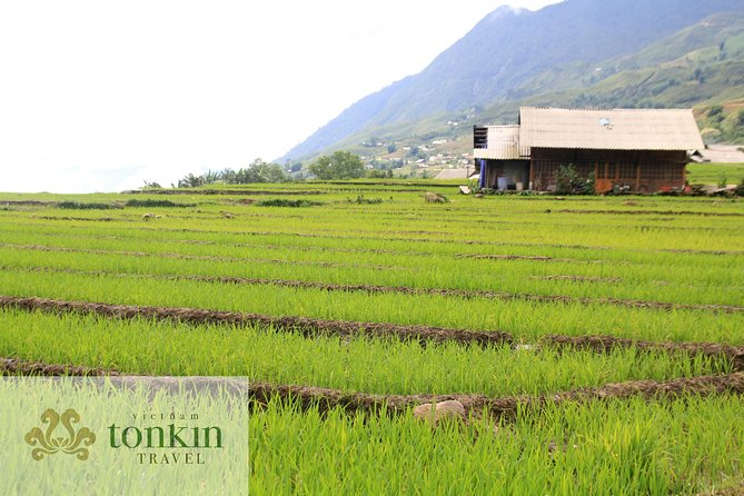 Sapa hard trekking villages homestay 3days/ 2nights tour - amazing culture - Day 1: Ta Van Terraces, Hmong Villages, and a Giay-Family Dinner