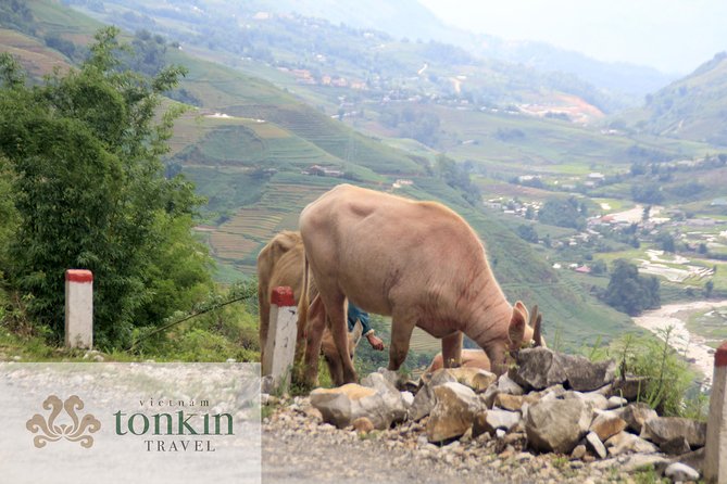 Sapa hard trekking villages homestay 3days/ 2nights tour - amazing culture - Who Should Book This Trek (And Who Might Skip It)