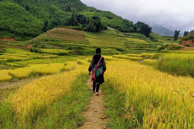 Sapa Local Trekking Adventures - Meals, valley entrance fees, and what the tour actually takes off your plate
