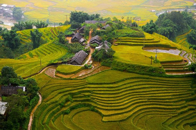 Sapa Local Trekking Adventures - Day 1 to Y Linh Ho: a full day hike with a clean handoff back to town