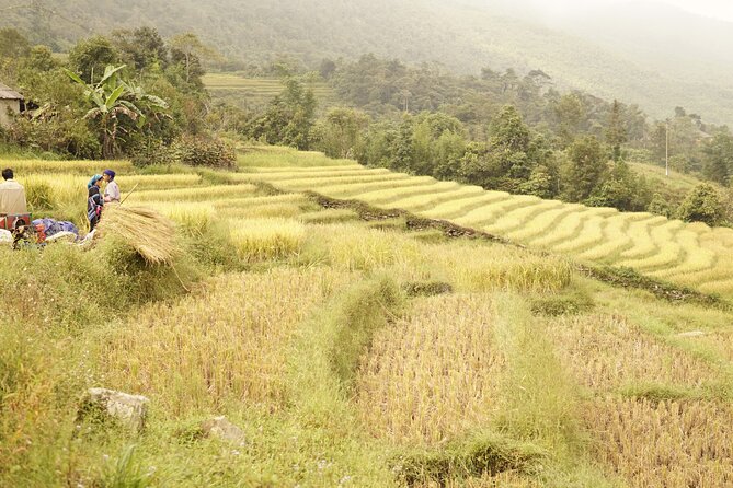 Sapa Motorbike Tour to Dragon Waterfall and Hidden Village - Sàng Ma Sáo commune: a quick taste of the broader mountain communities