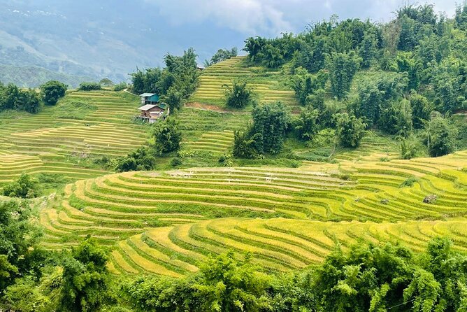 Sapa Motorbike Tour With Local Guide 1 Day - Waterfalls, Villages - Price and logistics: what you get for $65