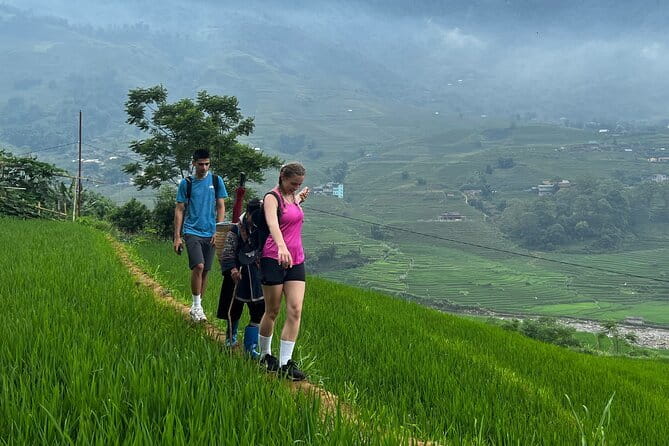 Sapa Mountain Escape: 2-Day Trekking, Rice Terraces & Homestay - Should You Book Sapa Odyssey Tour’s Mountain Escape?
