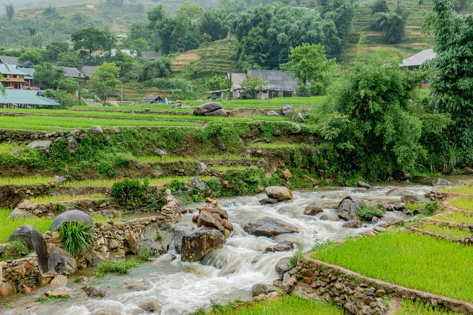 Sapa, Muong Hoa Valley - 1 Day Hiking & Cultural Experience - Day Two: bamboo forest hike, Giang Ta Chải waterfalls, and Red Zao culture