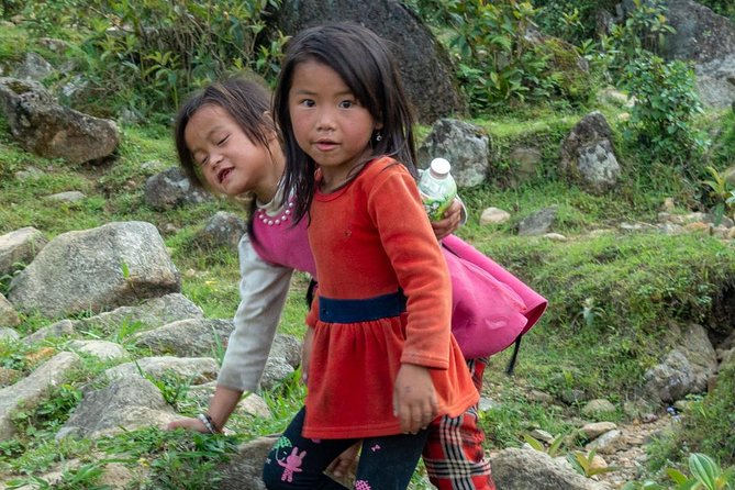 Sapa, Muong Hoa Valley - 3 Day Hiking & Cultural Experience - Day 1: Y Linh Ho Down the Rice Fields to Lao Chải and Ta Van