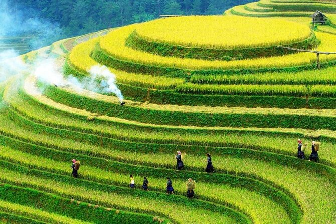 Sapa Muong Hoa Valley & Ta Van Eco Village Scenic Tour (No Trek) - Half-Day Sapa Without the Long Trek