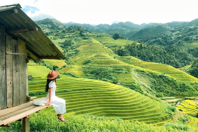 Sapa Muong Hoa Valley & Ta Van Eco Village Scenic Tour (No Trek) - The Easy Lao Chải to Tả Van Walk Through Rice Terraces