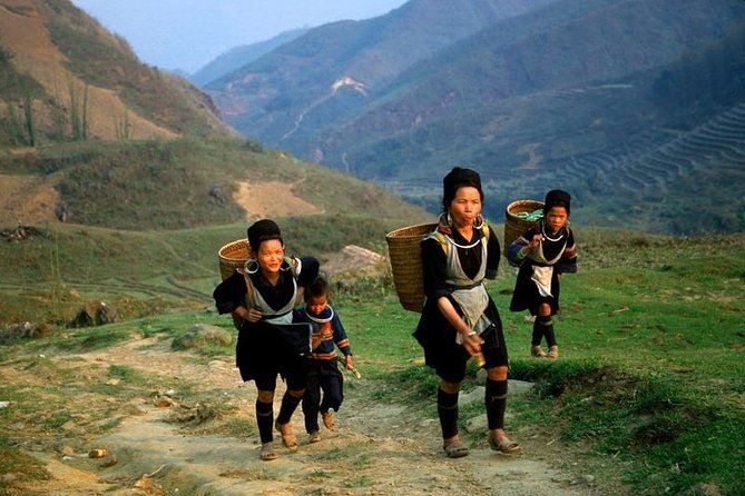 Sapa Private Car Tour - 1 Day Enjoy the Rice Terraced Fields - Key highlights worth planning for