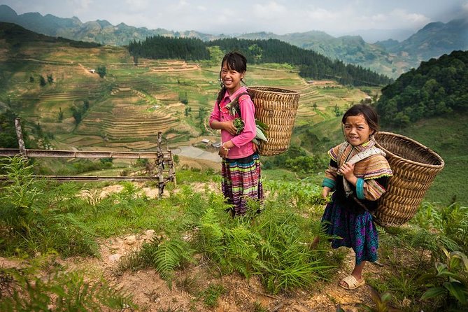 Sapa Private Car Tour - 1 Day Enjoy the Rice Terraced Fields - How much walking is really involved?