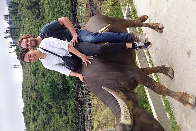 Sapa private: One day of funny Buffalo Ride & Trekking Tour - Timing and Meet-Up at 13 Tuệ Tĩnh: The 5-Hour Day Plan